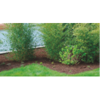 BORDADURA PLANTEX LAWN EDGE - ROLO 0.2X10M ( 325G/M2) BORDADURA PLANTEX LAWN EDGE - ROLO 0.2X10M ( 325G/M2)