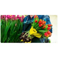 WOLF FORQUILHA P/FLORES LUBK WOLF FORQUILHA P/FLORES LUBK
