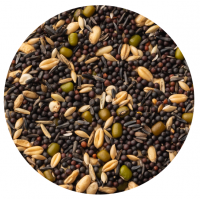 PETCUP GERMINADO P/CANARIOS - 4 KG