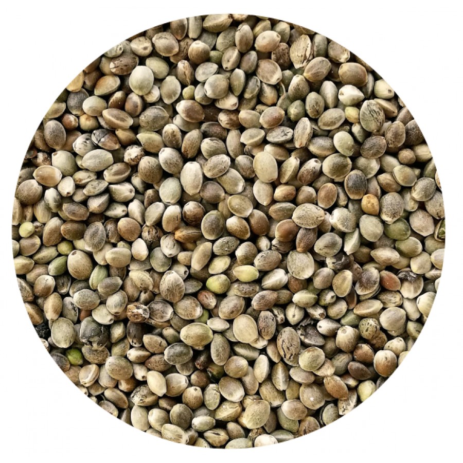PETCUP CANHAMO - 600 GR PETCUP CANHAMO - 600 GR