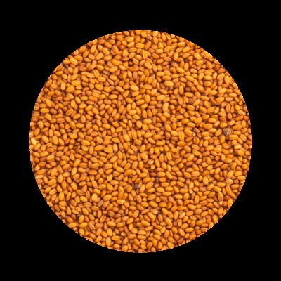 PETCUP CAMELINA  - 850 GR
