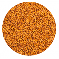 PETCUP CAMELINA -2 KG PETCUP CAMELINA -2 KG