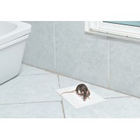 ROE-GLUE ARMADILHA ADESIVA PARA RATOS 3 UNIDADES ROE-GLUE ARMADILHA ADESIVA PARA RATOS 3 UNIDADES