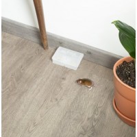 ROE PORTA-ISCOS DE SEGURANÇA PARA  RATOS