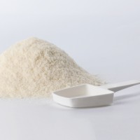 LACTOL LEITE P/CACHORROS - 500 GR LACTOL LEITE P/CACHORROS - 500 GR