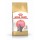 ROYAL CANIN KITTEN BRITISH SHORTHAIR  - 2KG