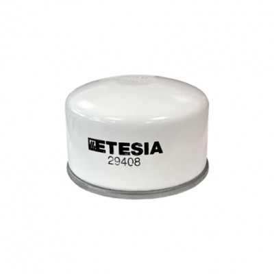 ETESIA FILTRO OLEO H124