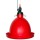 BEBEDOURO CO. DE AVES CAMPANA AUTOMATICO DE AVES
