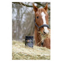 HERBABIOM® – SUPLEMENTO PROBIÓTICO DE SUPORTE DIGESTIVO PARA CAVALOS-800 GR