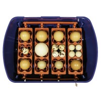 INCUBADORA REAL 24 OVOS AUTOMATICA INCUBADORA REAL 24 OVOS AUTOMATICA