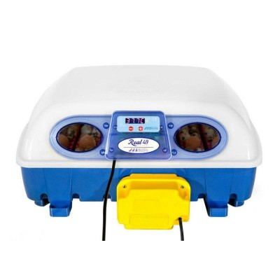 INCUBADORA REAL 49 OVOS AUTOMATICA