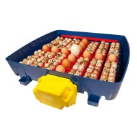 INCUBADORA REAL 49 OVOS AUTOMATICA