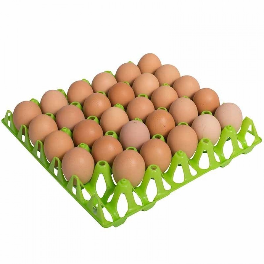 TABULEIRO DE PLASTICO P/OVOS TABULEIRO DE PLASTICO P/OVOS