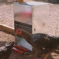 COMEDOURO ABERTURA MECANICA "SAFFED" DE AVES 40 KG COMEDOURO ABERTURA MECANICA "SAFFED" DE AVES 40 KG