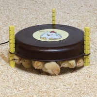 CRIADEIRA AQUECEDOR NANNY-HEN 35X35 CM 18WT CRIADEIRA AQUECEDOR NANNY-HEN 35X35 CM 18WT