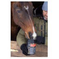 AMINO-PRO – SUPLEMENTO COMPLEXO PARA CONSTRUÇÃO E RECUPERAÇÃO MUSCULAR PARA CAVALOS- 800 GR AMINO-PRO – SUPLEMENTO COMPLEXO PARA CONSTRUÇÃO E RECUPERAÇÃO MUSCULAR PARA CAVALOS- 800 GR