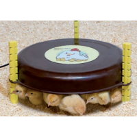 AQUECEDOR POLLIT NANNY-HEN USA 110V 18W AQUECEDOR POLLIT NANNY-HEN USA 110V 18W