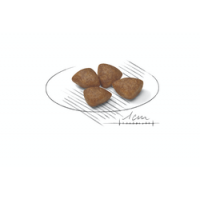ROYAL CANIN MINI STARTER - 1 KG ROYAL CANIN MINI STARTER - 1 KG
