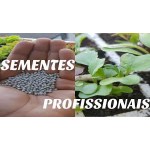 Sementes Profissionais