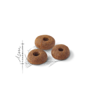 ROYAL CANIN GATO FIT 32 - 10 KG