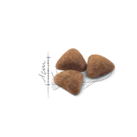ROYAL CANIN GATO INDOOR 27 - 400GR ROYAL CANIN GATO INDOOR 27 - 400GR