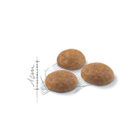ROYAL CANIN GATO OUTDOOR 30 - 2 KG ROYAL CANIN GATO OUTDOOR 30 - 2 KG