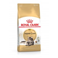 ROYAL CANIN GATO MAINE COON - 10 KG ROYAL CANIN GATO MAINE COON - 10 KG