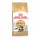 ROYAL CANIN GATO  MAINE COON - 10 KG