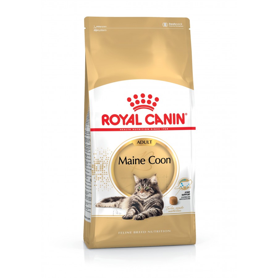 ROYAL CANIN GATO MAINE COON - 10 KG ROYAL CANIN GATO MAINE COON - 10 KG