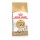 ROYAL CANIN GATO SIAMESE -10 KG