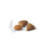 ROYAL CANIN GATO FUSSY EXIGENT- 400GR