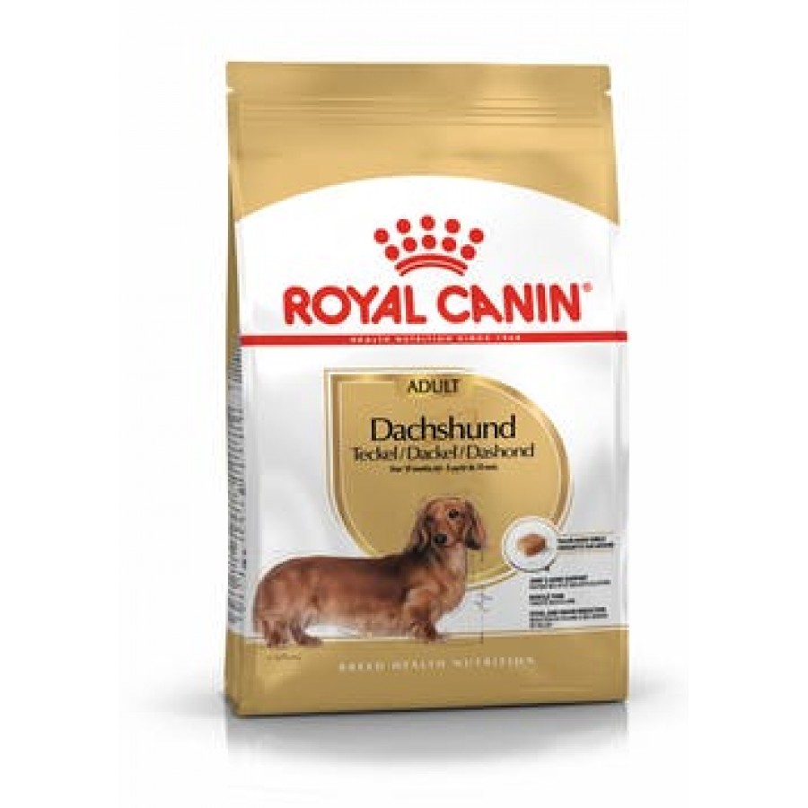 ROYAL CANIN CAO DACHSHUND ADULT - 1.5 KG