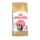 ROYAL CANIN KITTEN PERSIAN - 2 KG