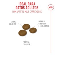 ROYAL CANIN GATO FUSSY EXIGENT- 10 KG
