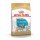 ROYAL CANIN CHIHUAHUA PUPPY - 1.5 KG