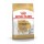 ROYAL CANIN CAO CHIHUAHUA ADULT - 1.5 KG