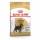 ROYAL CANIN CAO MINIATURE SCHNAUZER ADULT - 7,5 KG