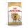 ROYAL CANIN CAO GREAT DANE ADULT - 12 KG