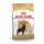 ROYAL CANIN CAO ROTTWEILER ADULT - 12 KG