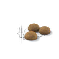 ROYAL CANIN INDOOR LONG HAIR - 4 KG ROYAL CANIN INDOOR LONG HAIR - 4 KG