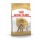ROYAL CANIN CAO POODLE ADULT  - 1.5 KG