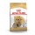 ROYAL CANIN CAO SHIH TZU ADULT - 1.5 KG