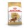ROYAL CANIN CAO COCKER ADULT - 3 KG