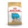 ROYAL CANIN BULLDOG PUPPY - 12 KG
