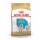 ROYAL CANIN GOLDEN RETRIEVER PUPPY - 12 KG