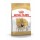 ROYAL CANIN CAO PUG ADULT - 1.5 KG