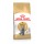 ROYAL CANIN GATO BRITISH SHORTHAIR - 10KG