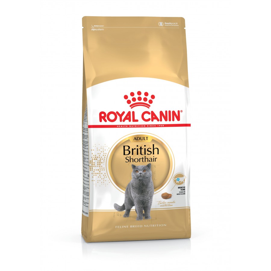 ROYAL CANIN GATO BRITISH SHORTHAIR - 10KG ROYAL CANIN GATO BRITISH SHORTHAIR - 10KG