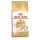 ROYAL CANIN GATO SPHYNX - 10KG