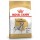 ROYAL CANIN CAO DALMATIAN ADULT - 12 KG
